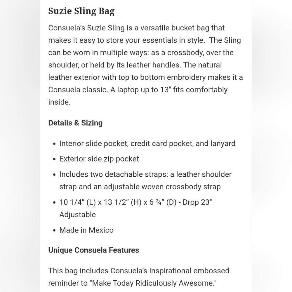Consuela Suzie Embroidered Sling Bag NWT - Picture 9 of 9